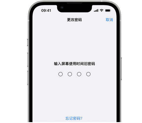 安远iPhone屏幕维修分享iPhone屏幕使用时间密码忘记了怎么办 