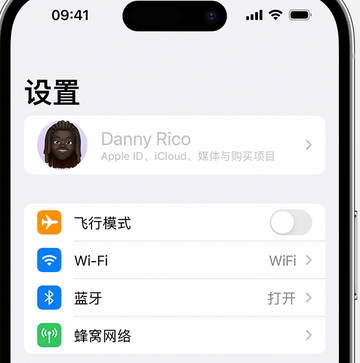 安远appleID维修服务iPhone设置中Apple ID显示为灰色无法使用