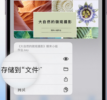 安远apple维修中心分享iPhone文件应用中存储和找到下载文件