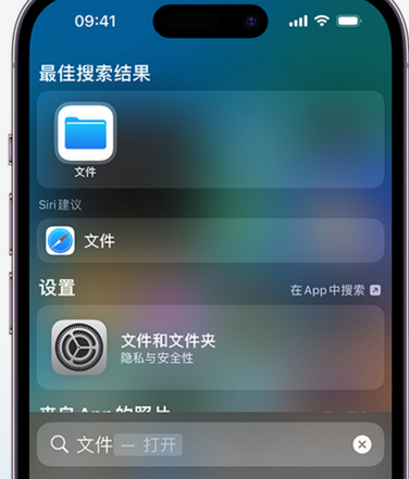 安远apple维修中心分享iPhone文件应用中存储和找到下载文件