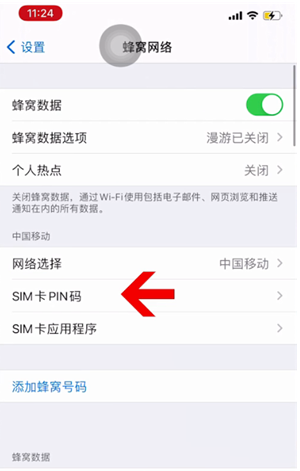 安远苹果14维修网分享如何给iPhone14的SIM卡设置密码 