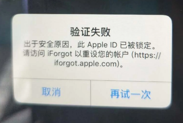 安远iPhone维修分享iPhone上正常登录或使用AppleID怎么办 