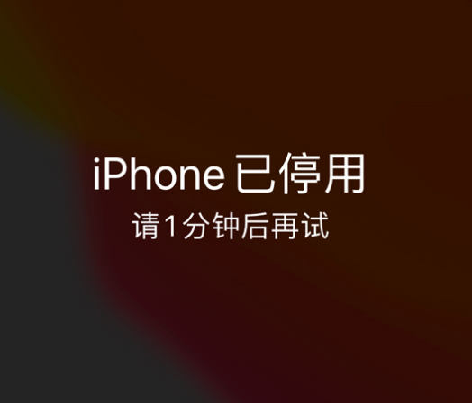 安远苹果手机维修分享:iPhone 显示“不可用”或“已停用”怎么办？还能保留数据吗？ 