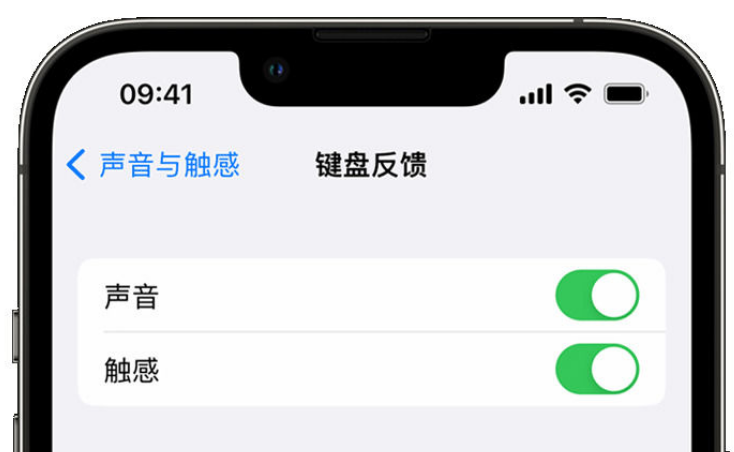 安远苹果手机维修分享iPhone 14触感键盘使用方法 