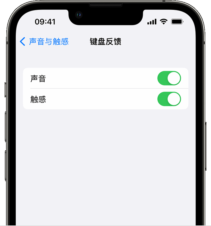 安远苹果14维修店分享如何在 iPhone 14 机型中使用触感键盘 