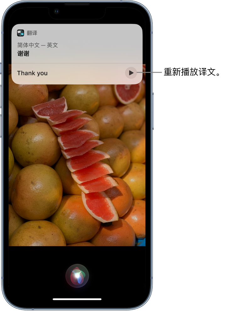 安远苹果14维修分享 iPhone 14 机型中使用 Siri：了解 Siri 能帮你做什么 