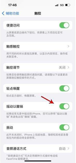 安远苹果手机维修分享iPhone手机如何设置摇一摇删除文字 