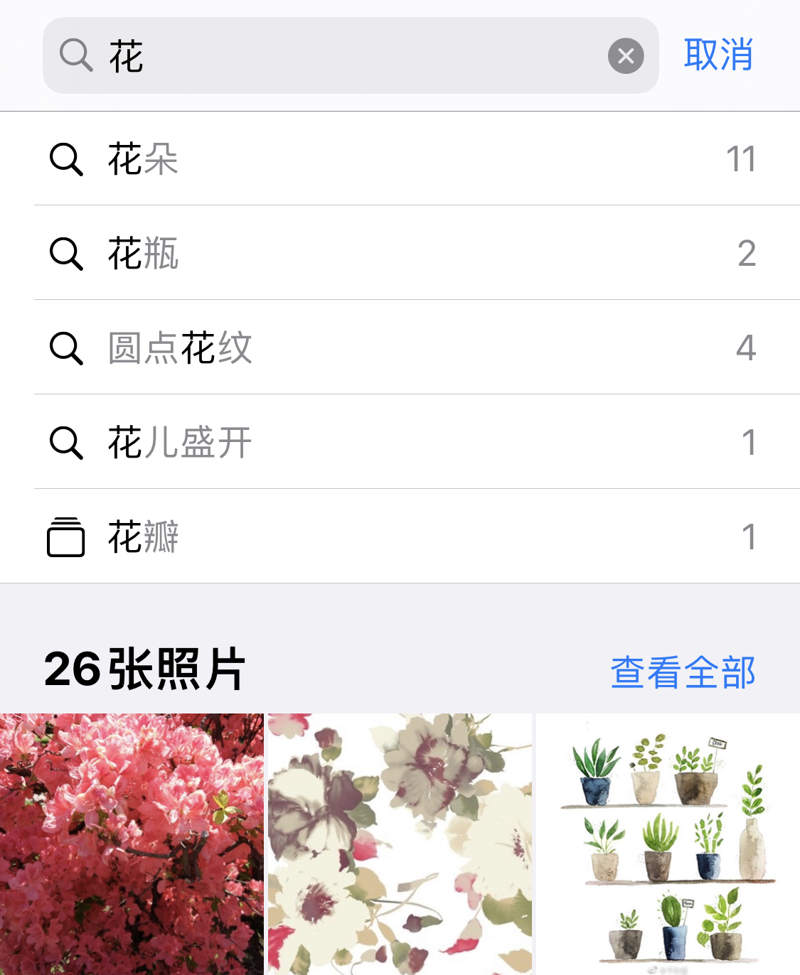 安远苹果手机维修分享iPhone 小技巧 