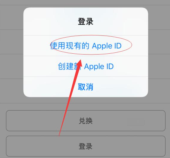 安远苹果手机维修分享两台iPhone设备可以同时登录一个Apple ID吗 