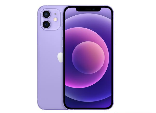 安远苹果手机维修分享现阶段要不要入手紫色版iPhone12 