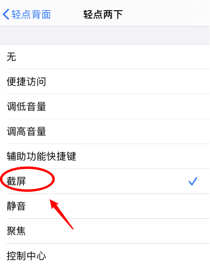 安远苹果手机维修分享iPhone12如何启用双击截屏 