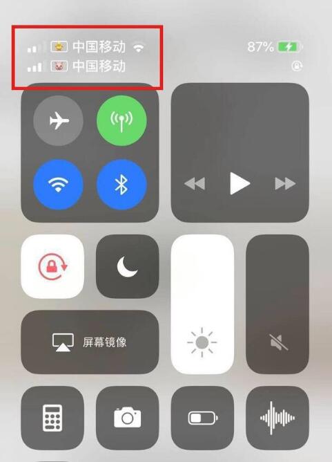 安远苹果手机维修分享为 iPhone 12 双卡设置标签 
