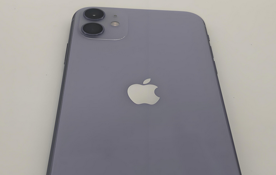安远苹果11系统维修分享iPhone11手机系统崩溃无法开机如何解决 