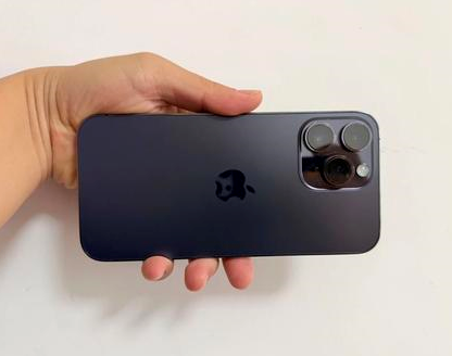 安远苹果维修点分享iPhone 14 Pro Max发烫多重诱因剖析 